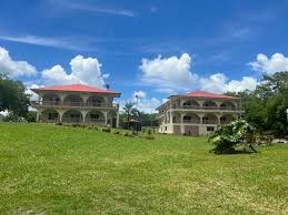 Children's Impact Network